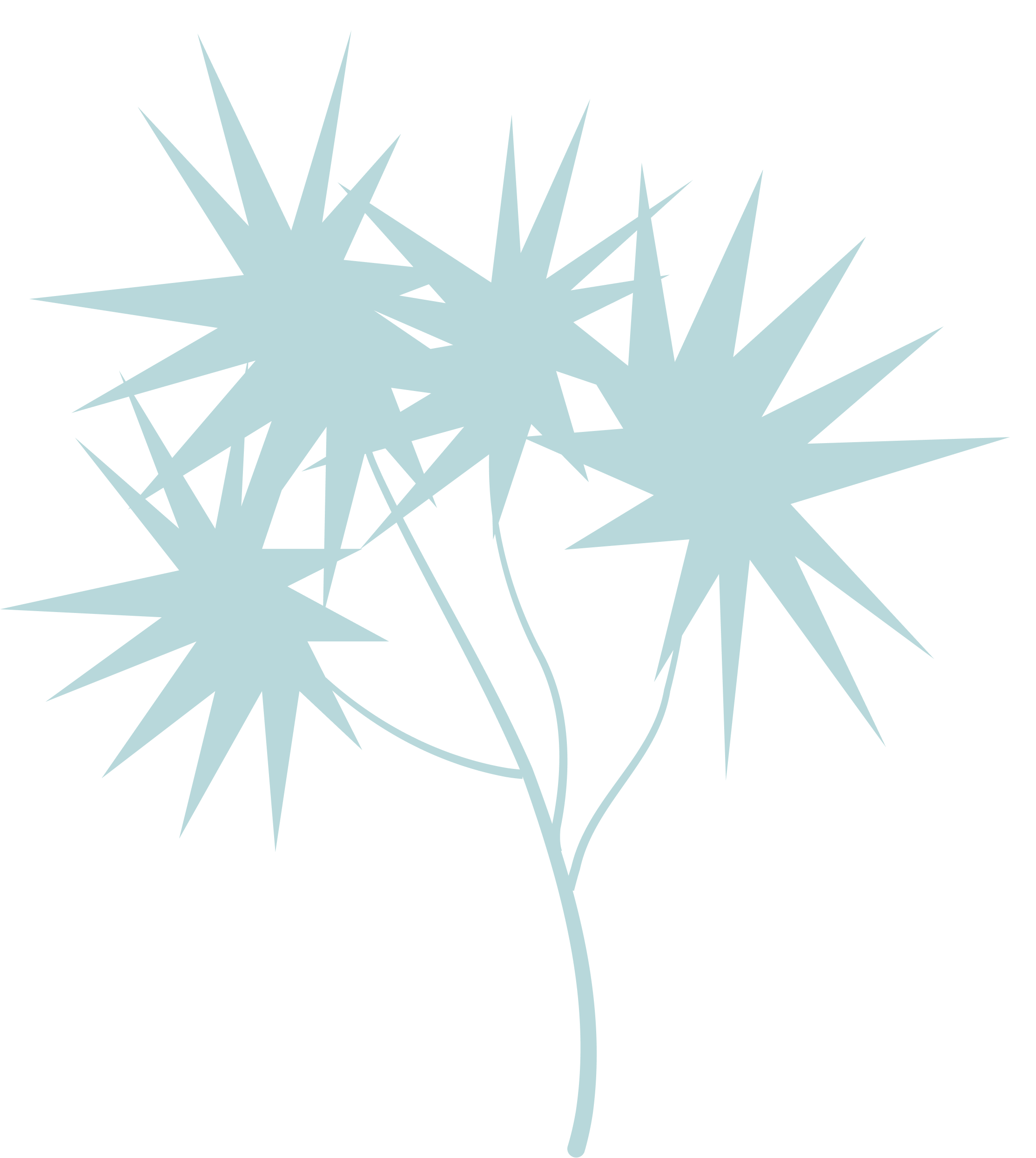 Cabbage tree illustration used as part of the visual identity.