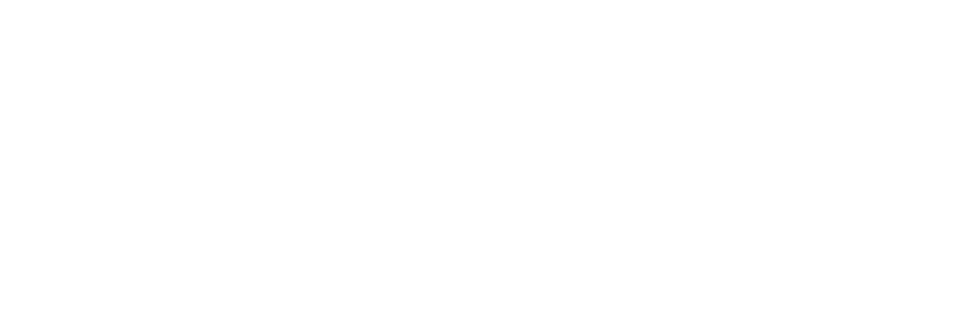 White solution diagram showing the hub, scalability and guidance.